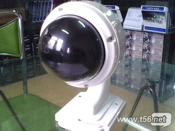 金余科技 一站式专业服务，守护您的数字世界